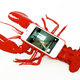 Illustration for article titled 11 of the Most Absurd Smartphone Cases We Have Ever Seen